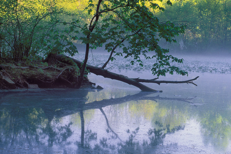 Chester Township